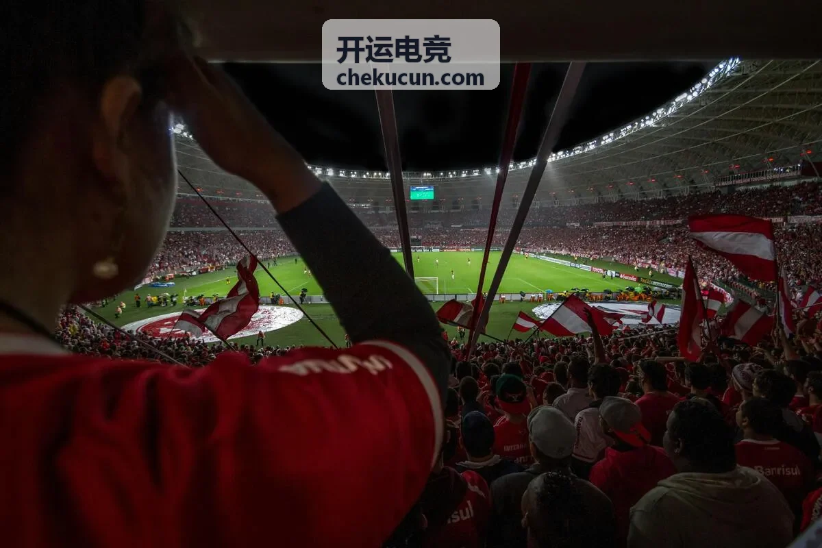 开运电竞案例封面