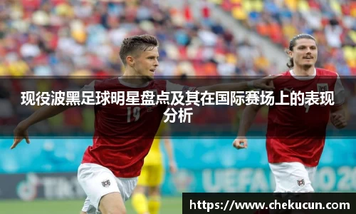 现役波黑足球明星盘点及其在国际赛场上的表现分析